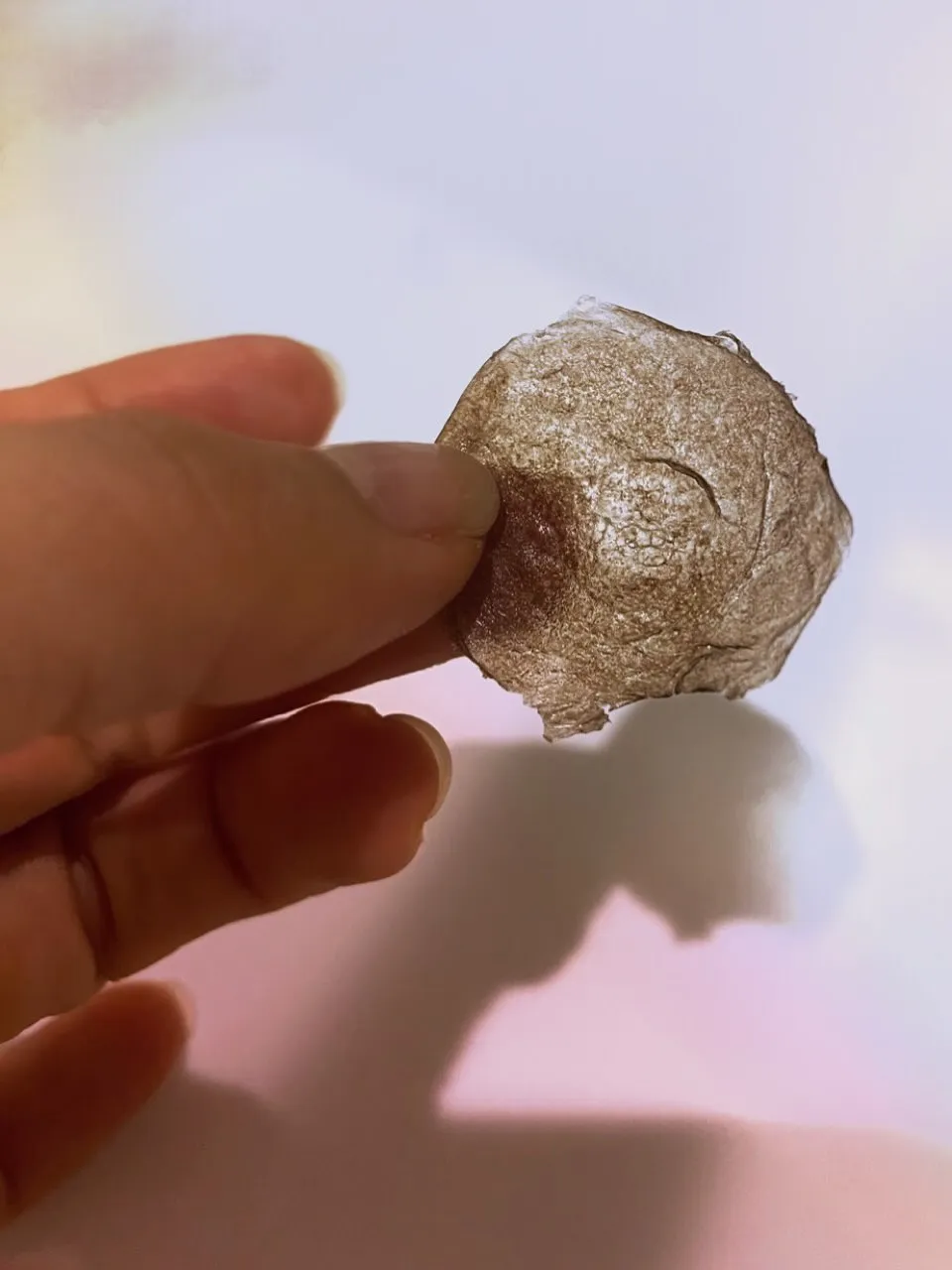 ローマピンク名古屋正規導入店/モニター限定!40%OFF